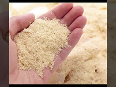 WPC는 벽판지 공장 직접적 판매 방화와 방습에게 피리 같은 소리로 말했습니다