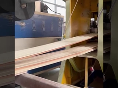 WPC 방음벽 지판 공장 직접적 방수와 방습